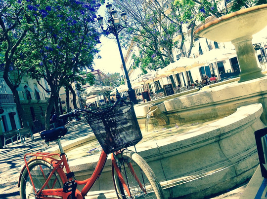 Las Bicis Naranjas-加的斯市必去景点