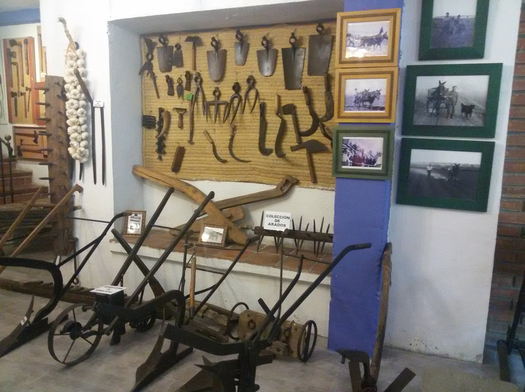 Museo de la Guerra Civil景点图片