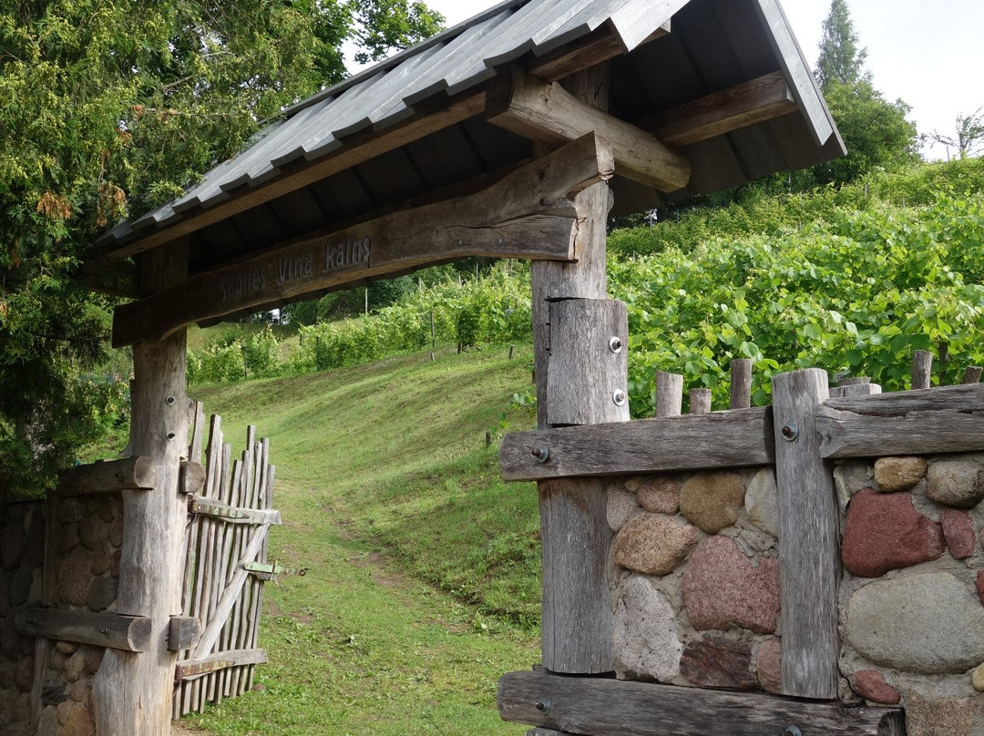 Sabile Wine Mountain-Sabile必去景点