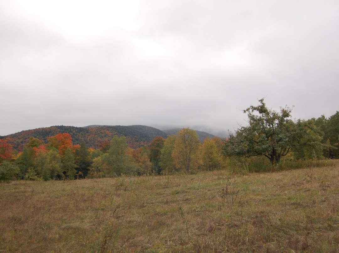 Heaven Hills Trails-普莱西德湖必去景点