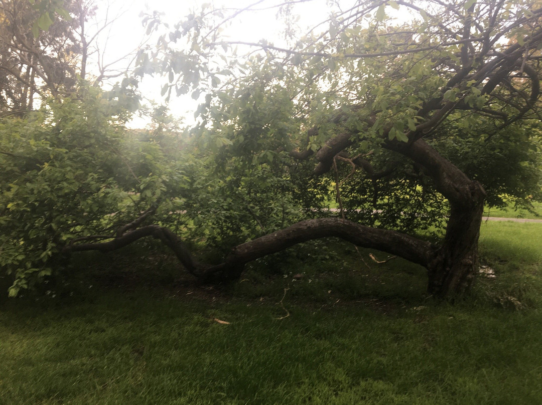 Artists Park-博士山必去景点