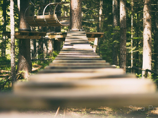 Tre Cime Adventure Park-奥龙佐迪卡多雷必去景点
