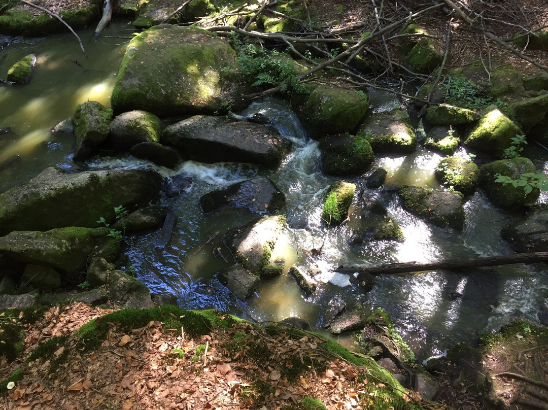 Naturschutzgebiet Hölle-Rettenbach必去景点