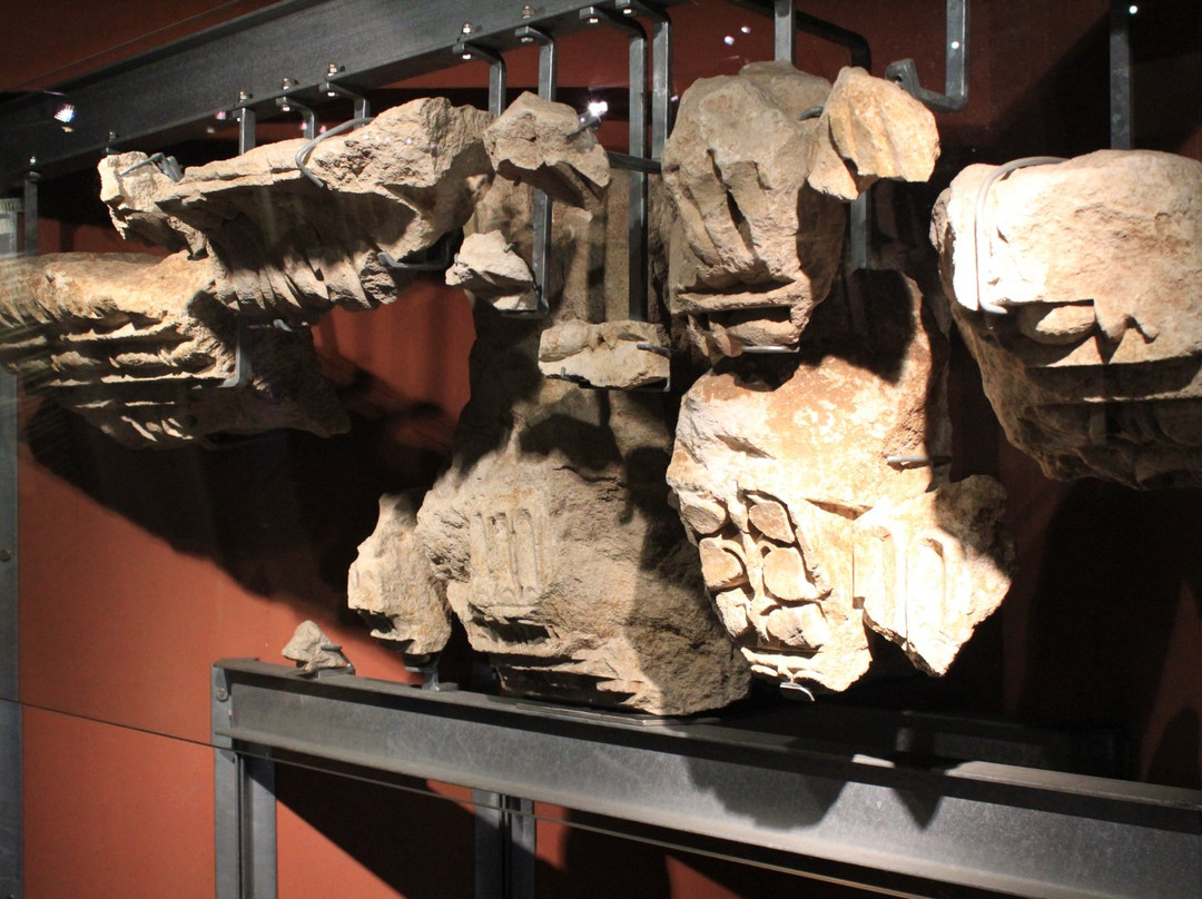 Museum Römischer Ehrenbogen景点图片