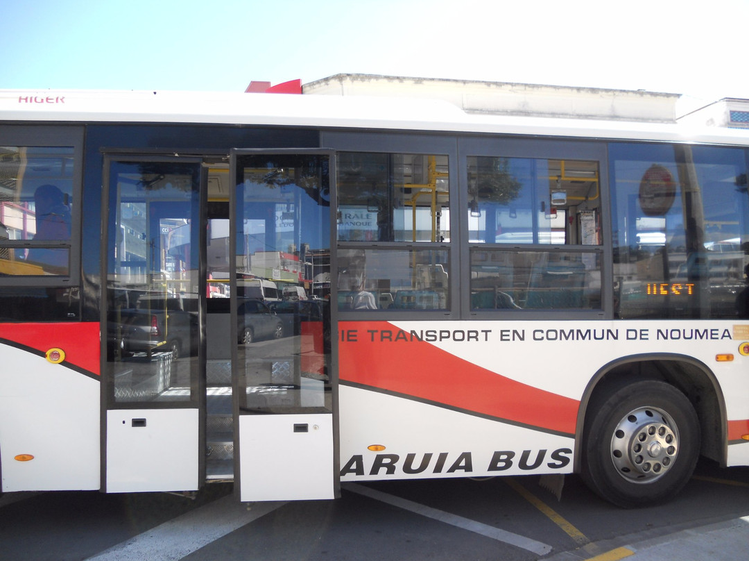 Karuia Bus-努美阿必去景点