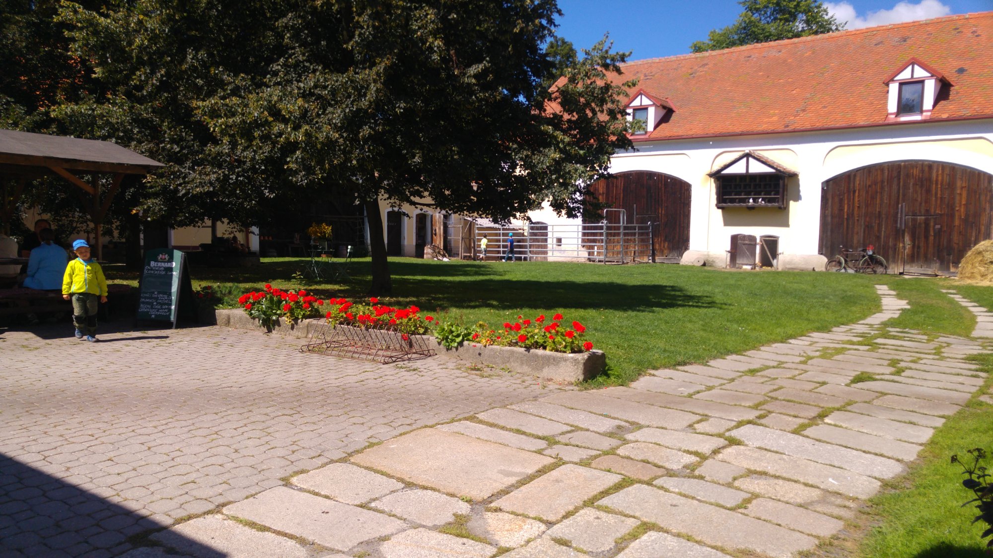 Selsky Dvur-餐饮