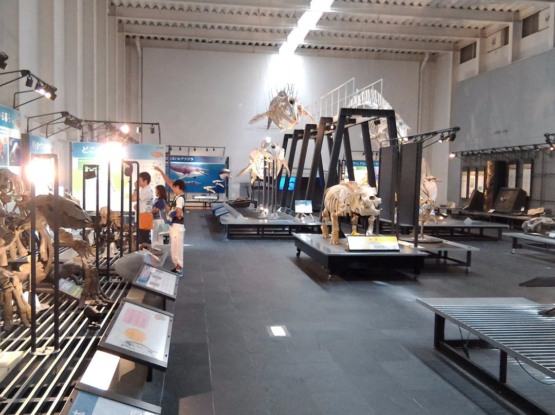 足寄动物化石博物馆-足寄町必去景点