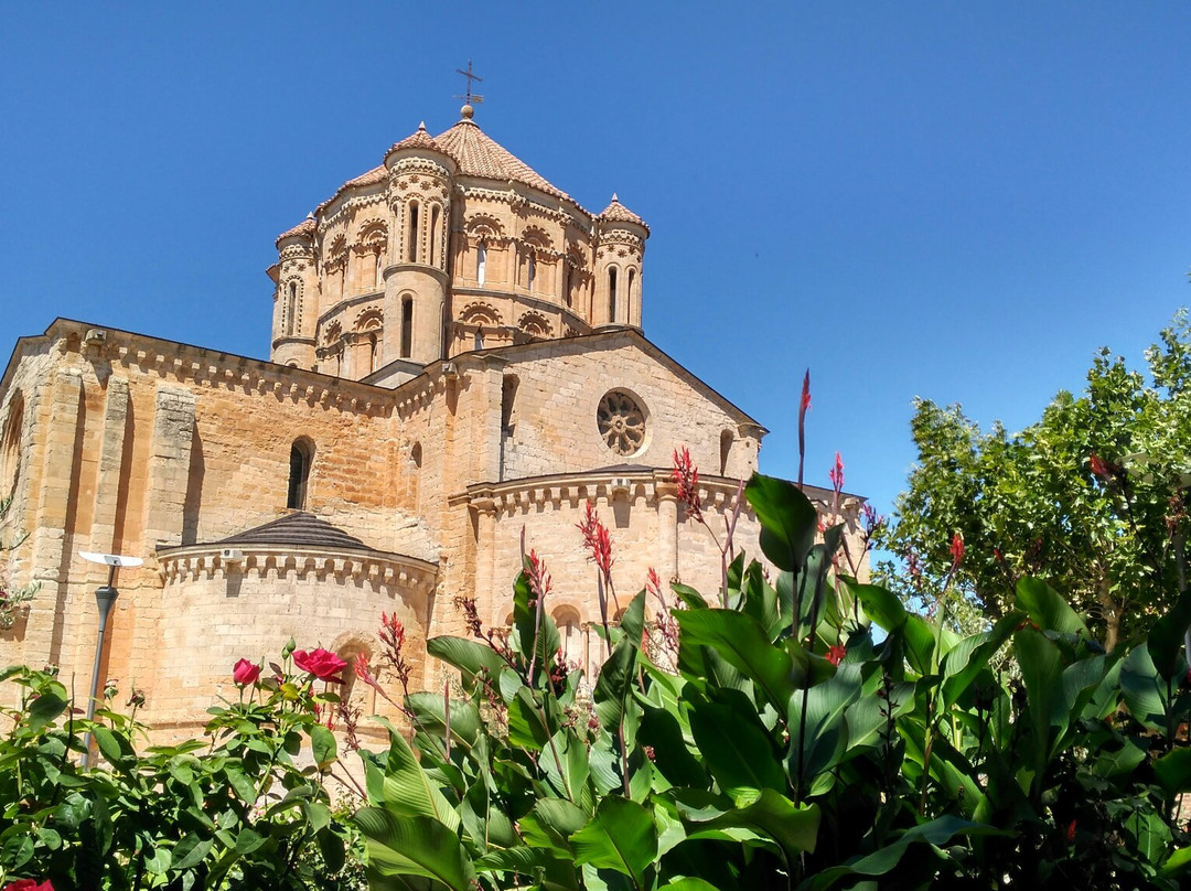 Colegiata de Santa Maria景点图片