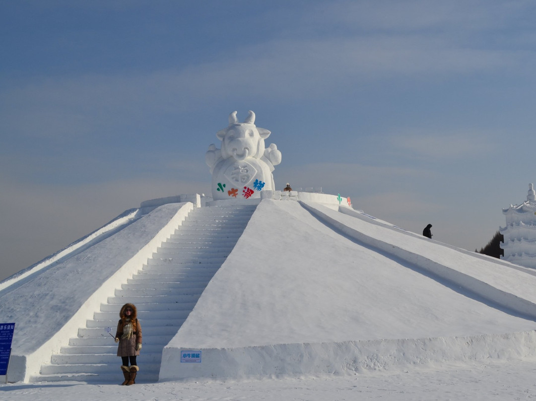 冰灯大观园-长春市必去景点