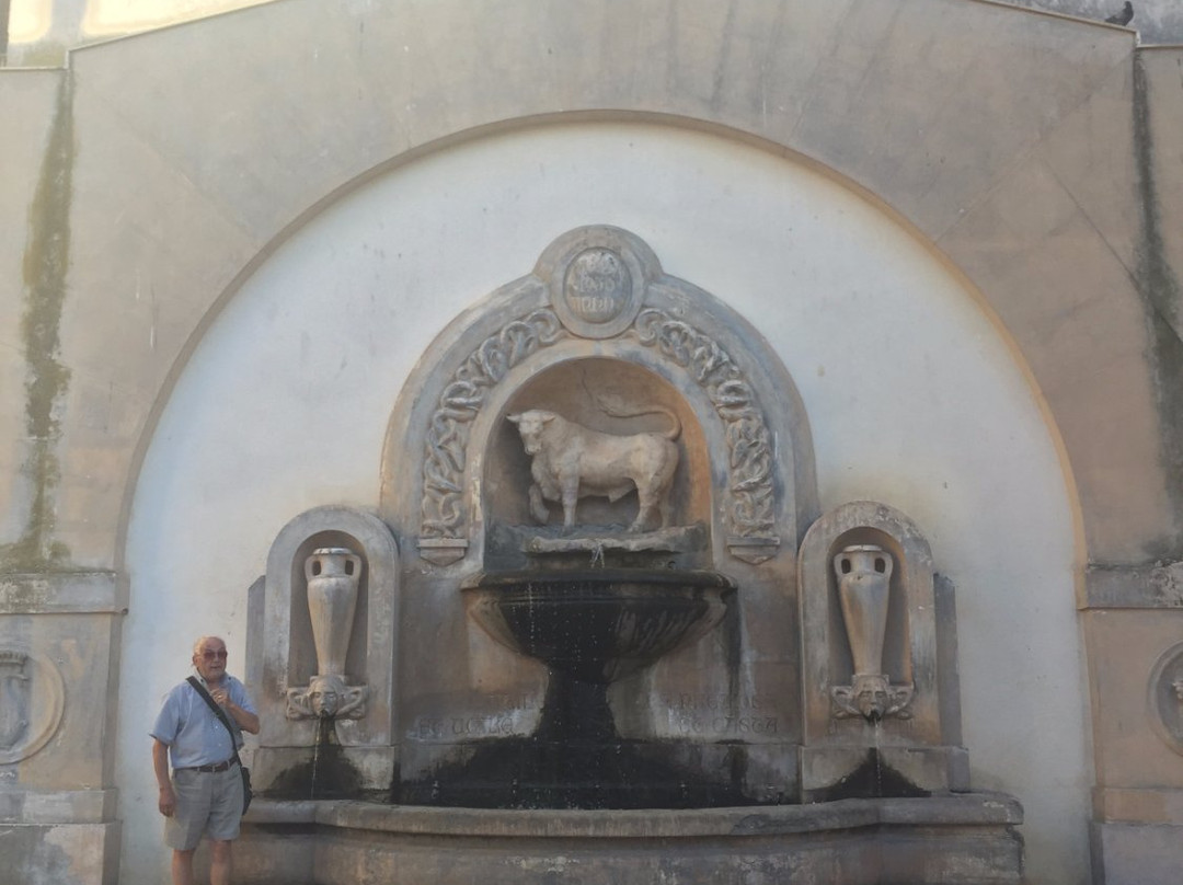 Fontana Del Toro-纳尔德奥必去景点