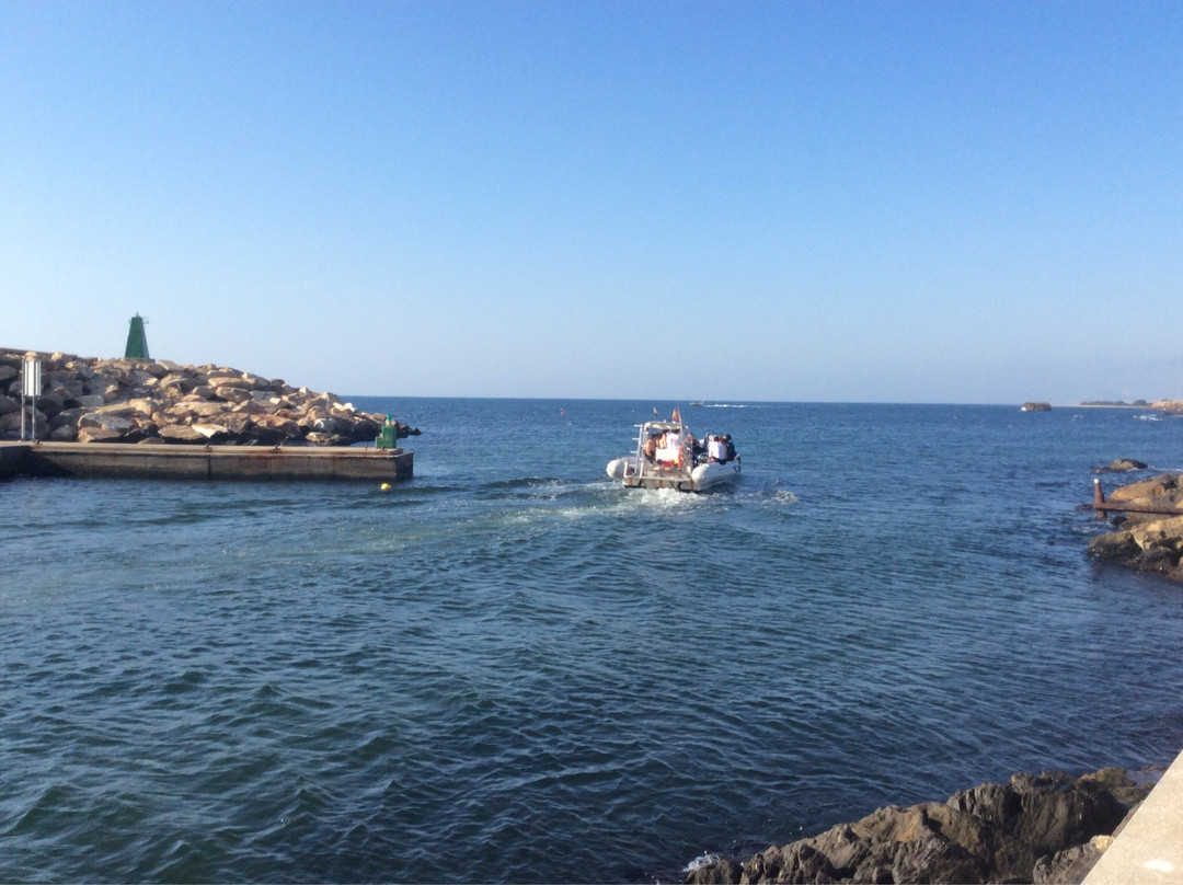 Centro de Buceo VillaricoSub景点图片