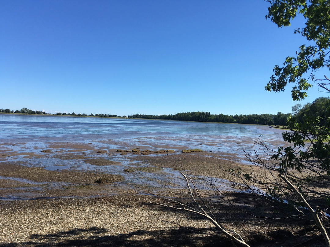 Daly Point Nature Reserve-Bathurst必去景点