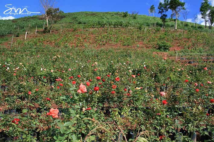 Pedra da Lajinha-Teofilo Otoni必去景点