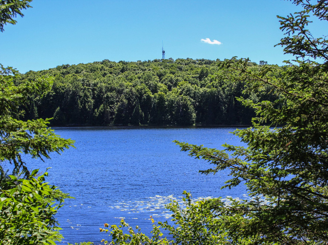 2023年11月Ogema旅游景点攻略Ogema旅游住宿,Ogema旅游美食猫途鹰