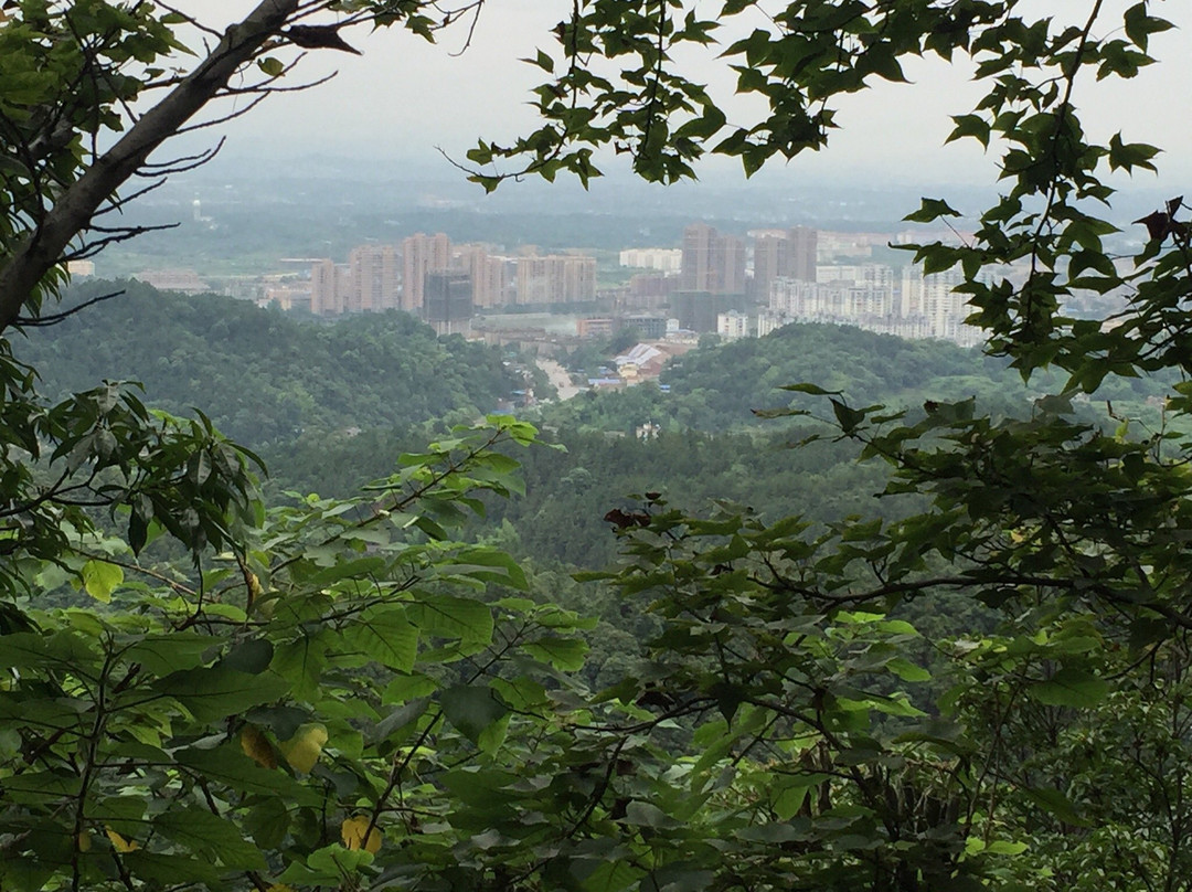 云碧峰森林公园-上饶市必去景点