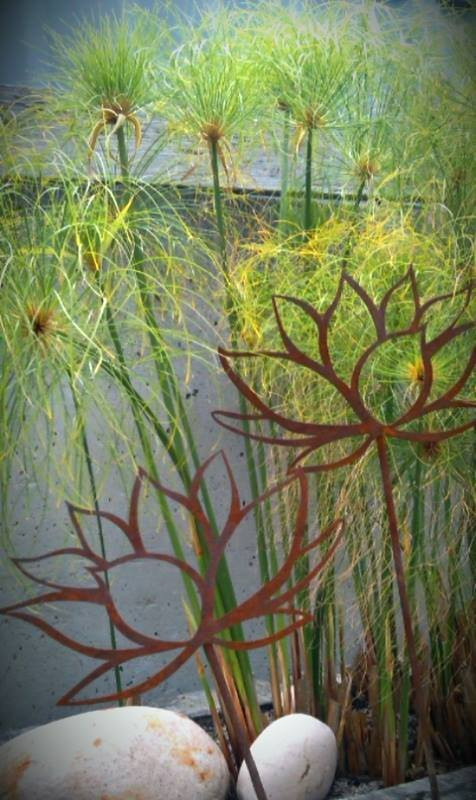 Designer Dirt-奥尔巴尼必去景点