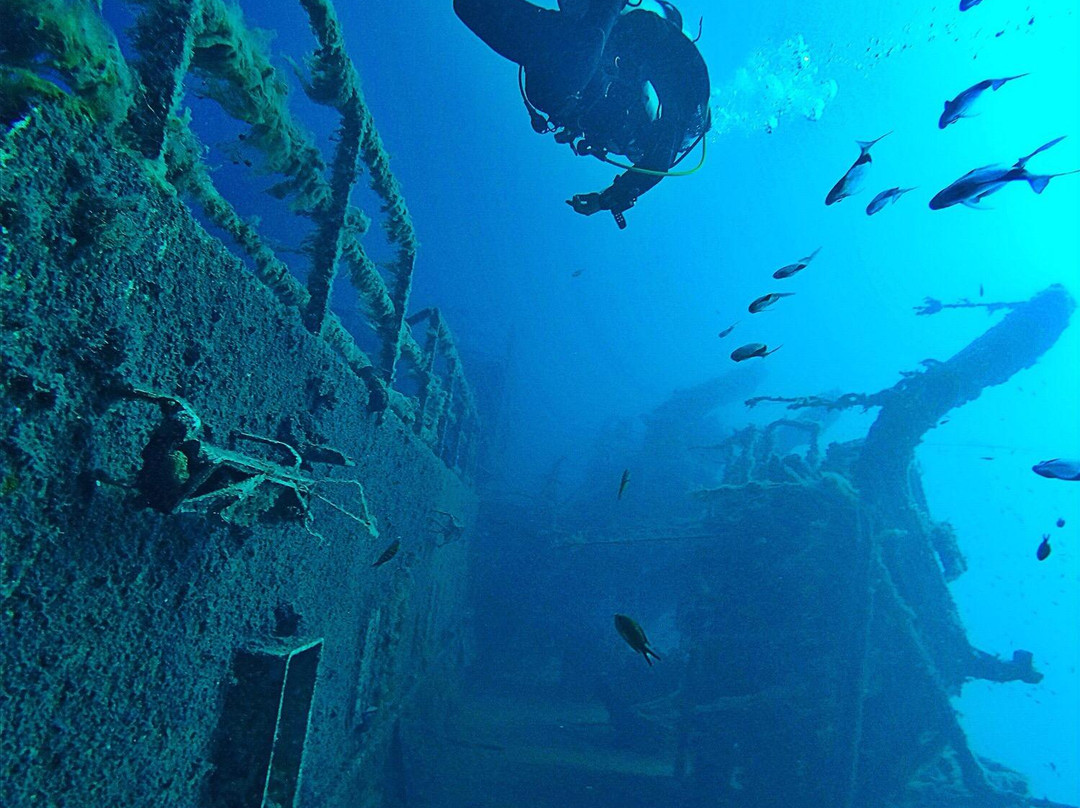 SunFish Divers-阿依纳帕必去景点