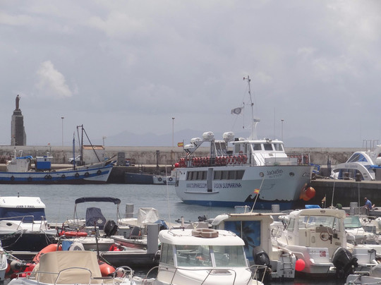 Whale Watch Tarifa-塔里法必去景点