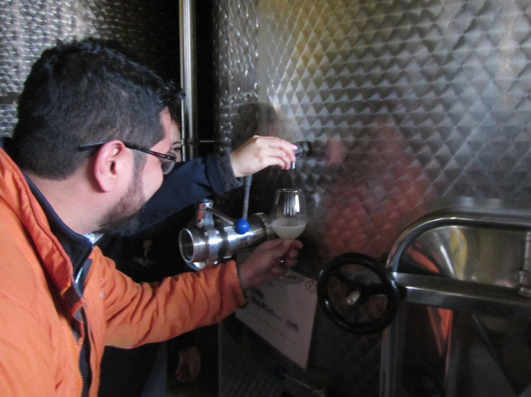 Casablanca Valley Wine Route-卡萨布兰卡必去景点