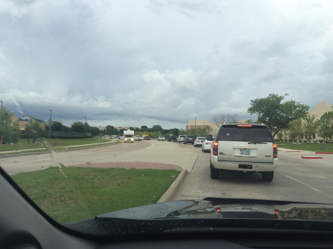 Dragon Stadium-绍斯莱克必去景点