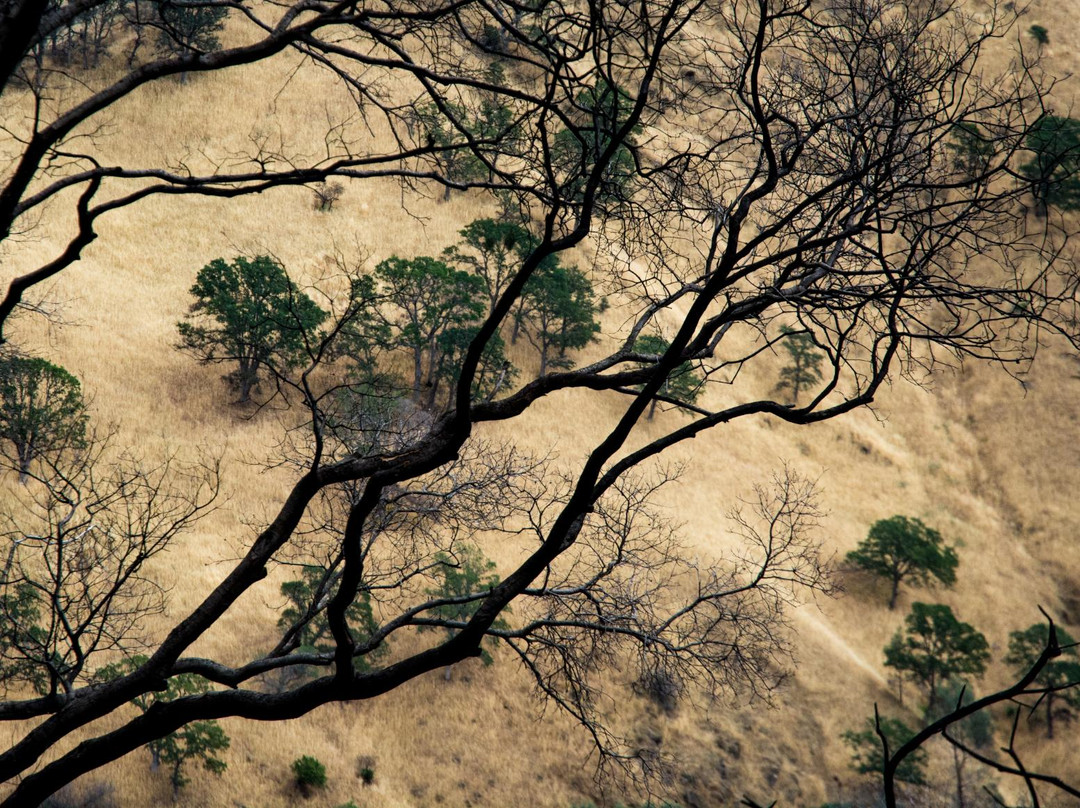Stebbins Cold Canyon Reserve-Winters必去景点