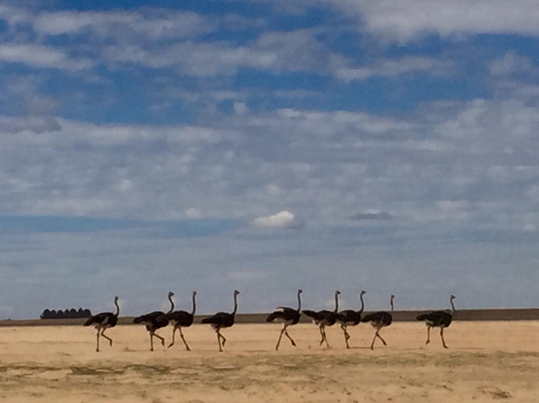 Vaal Dam-普马兰加省必去景点