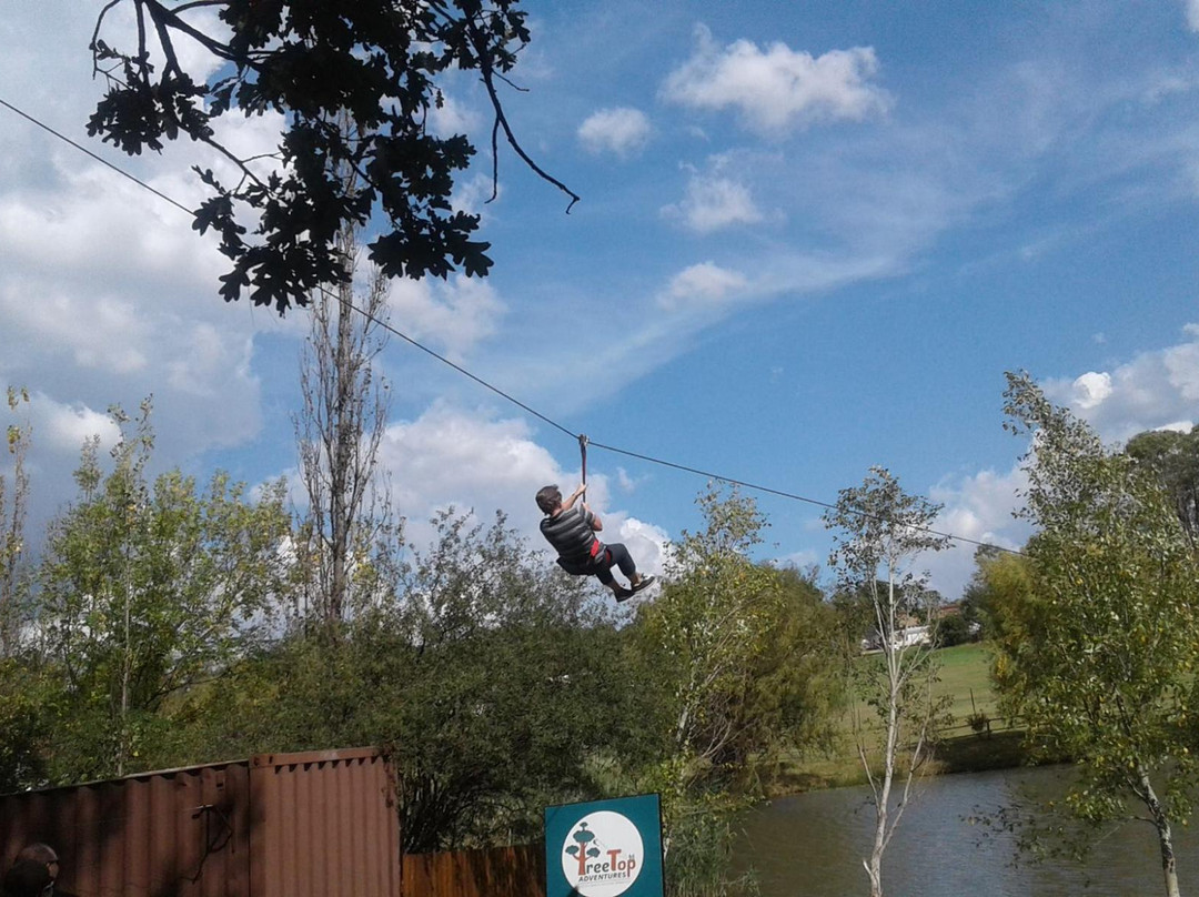 Tree Top Adventures景点图片