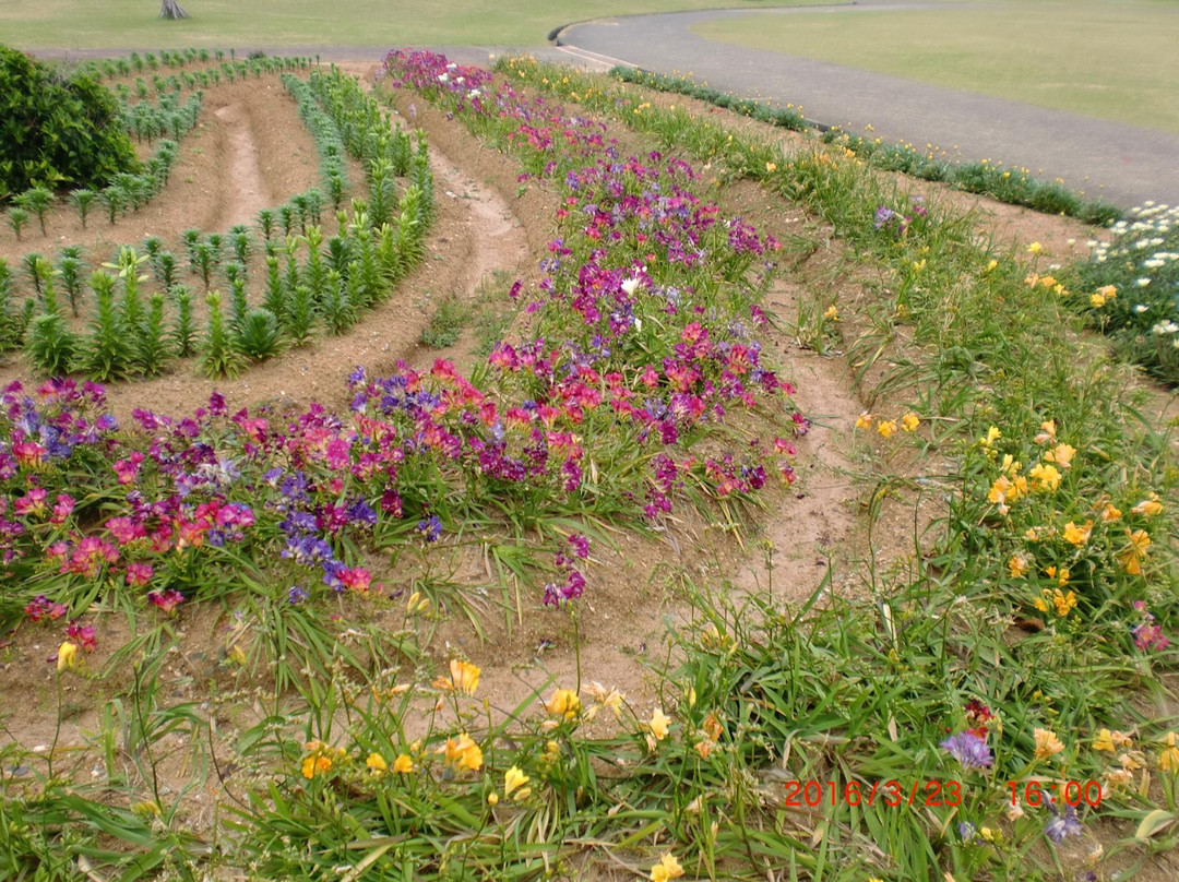 Kasaishi Kaihin Park景点图片