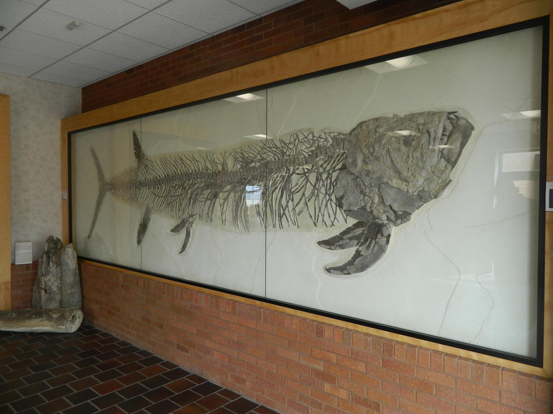 Natural History Museum - Western Wyoming Community College-Rock Springs必去景点