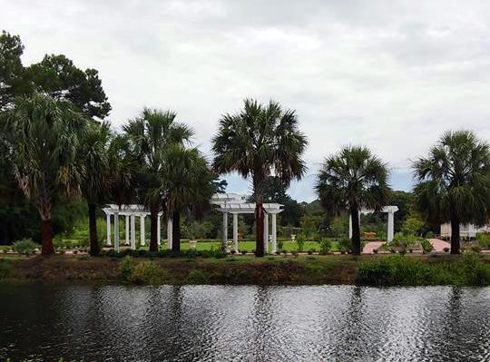 Coastal Georgia Botanical Gardens-萨凡纳必去景点