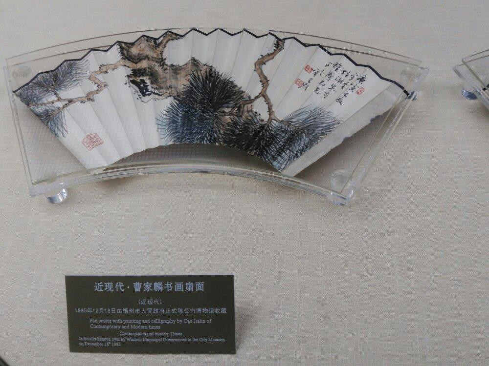 梧州博物馆景点图片