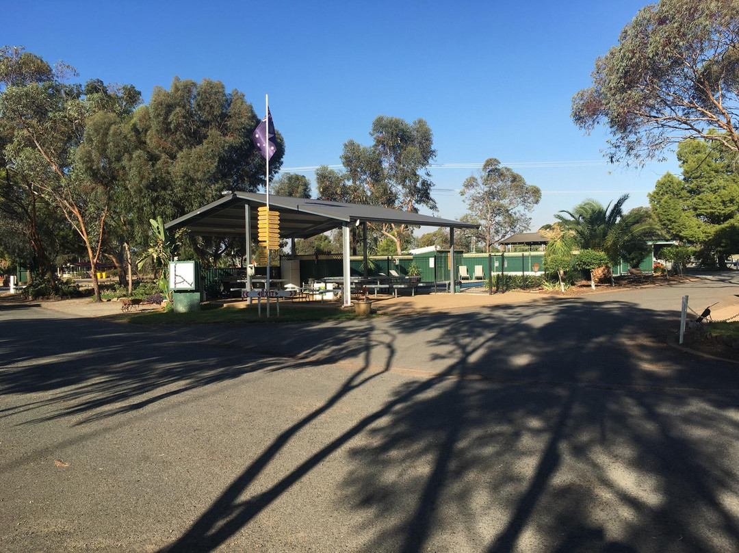 Ace Caravan Park