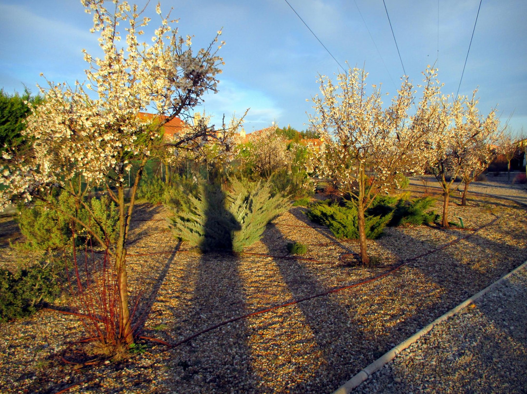 El jardín de las delicias景点图片