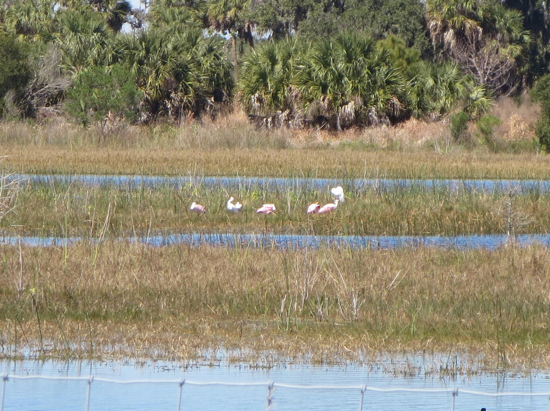 Cockroach Bay Aquatic Preserve-Ruskin必去景点