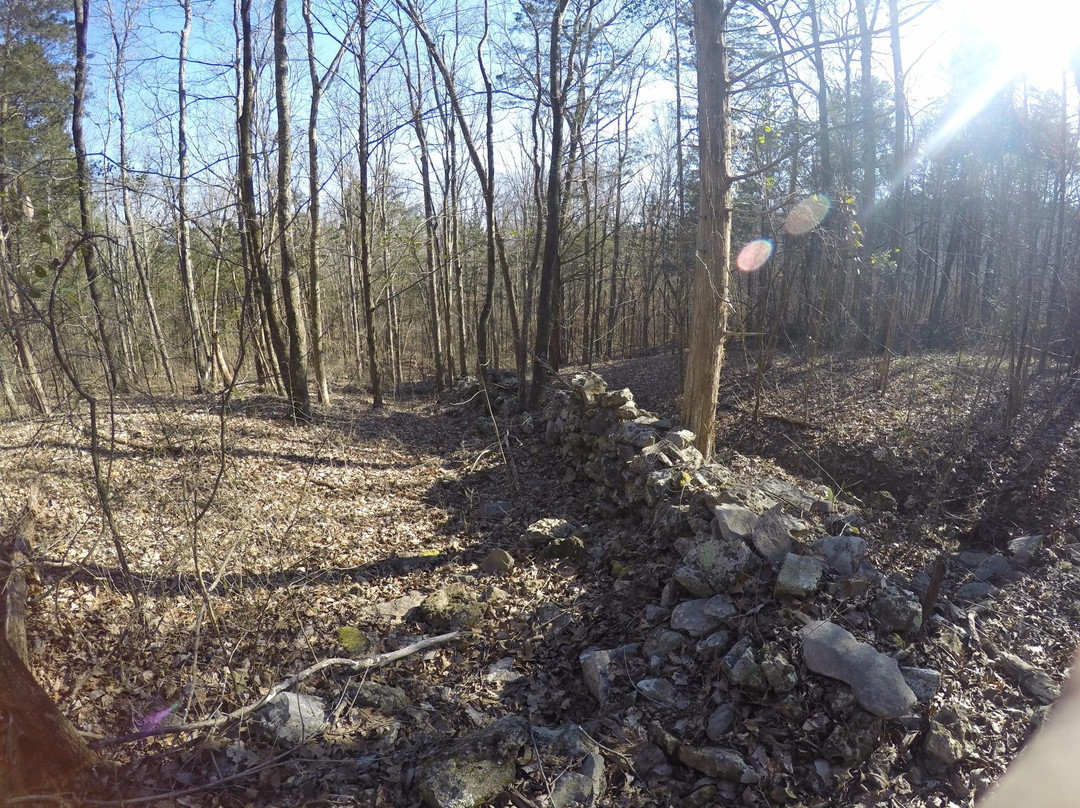 Wade Mountain Nature Preserve-亨茨维尔必去景点