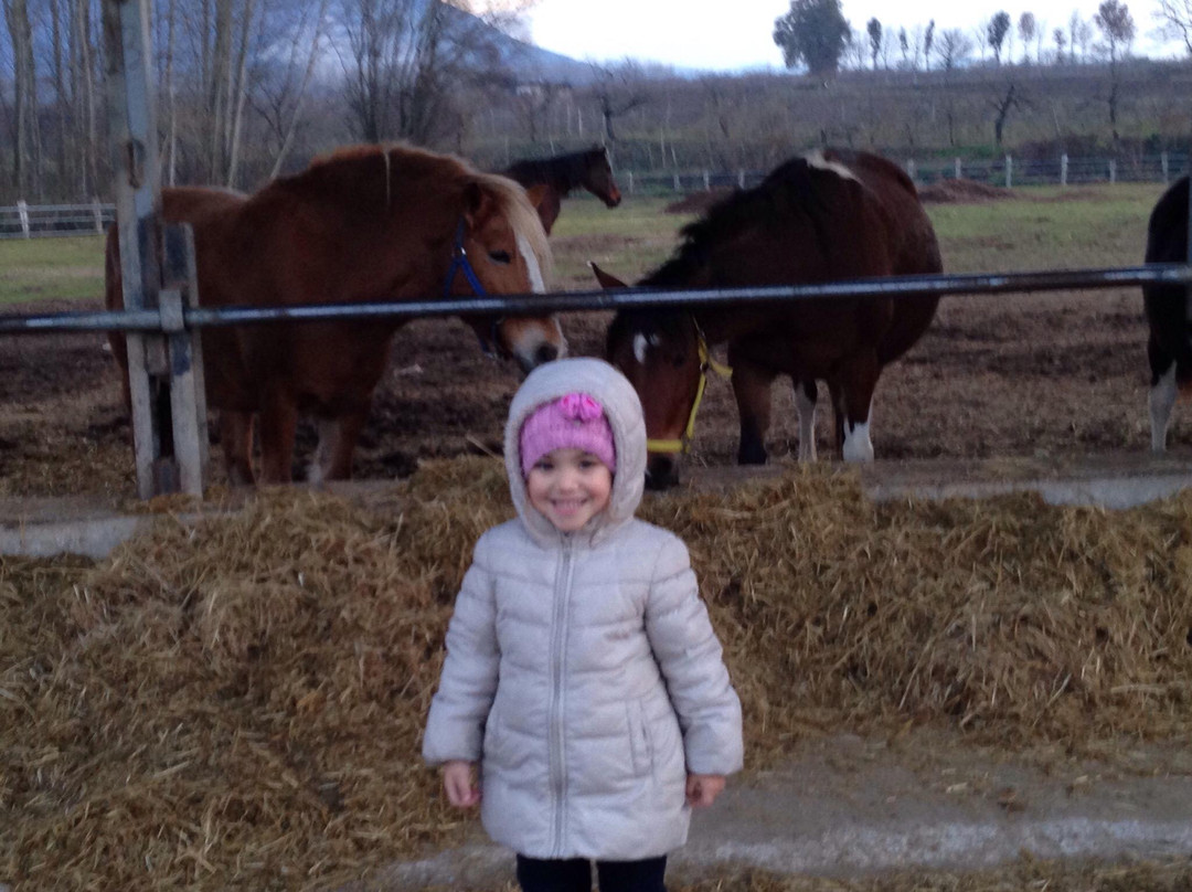 Presenzano旅游攻略图片