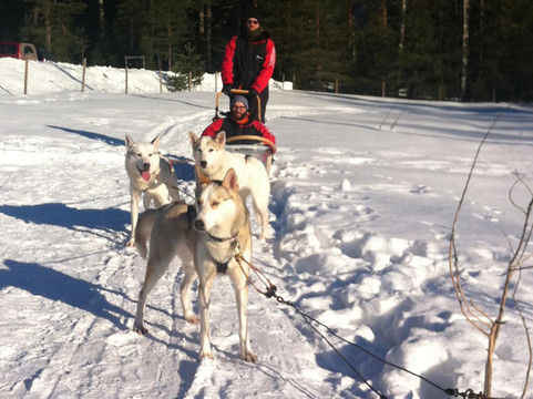 Kontiki Finland - Experiences in Finland-赫尔辛基必去景点