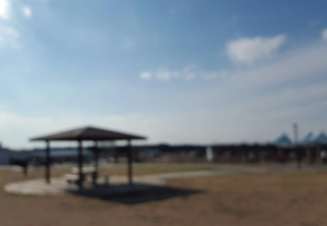 Yamato Yutori no Mori景点图片