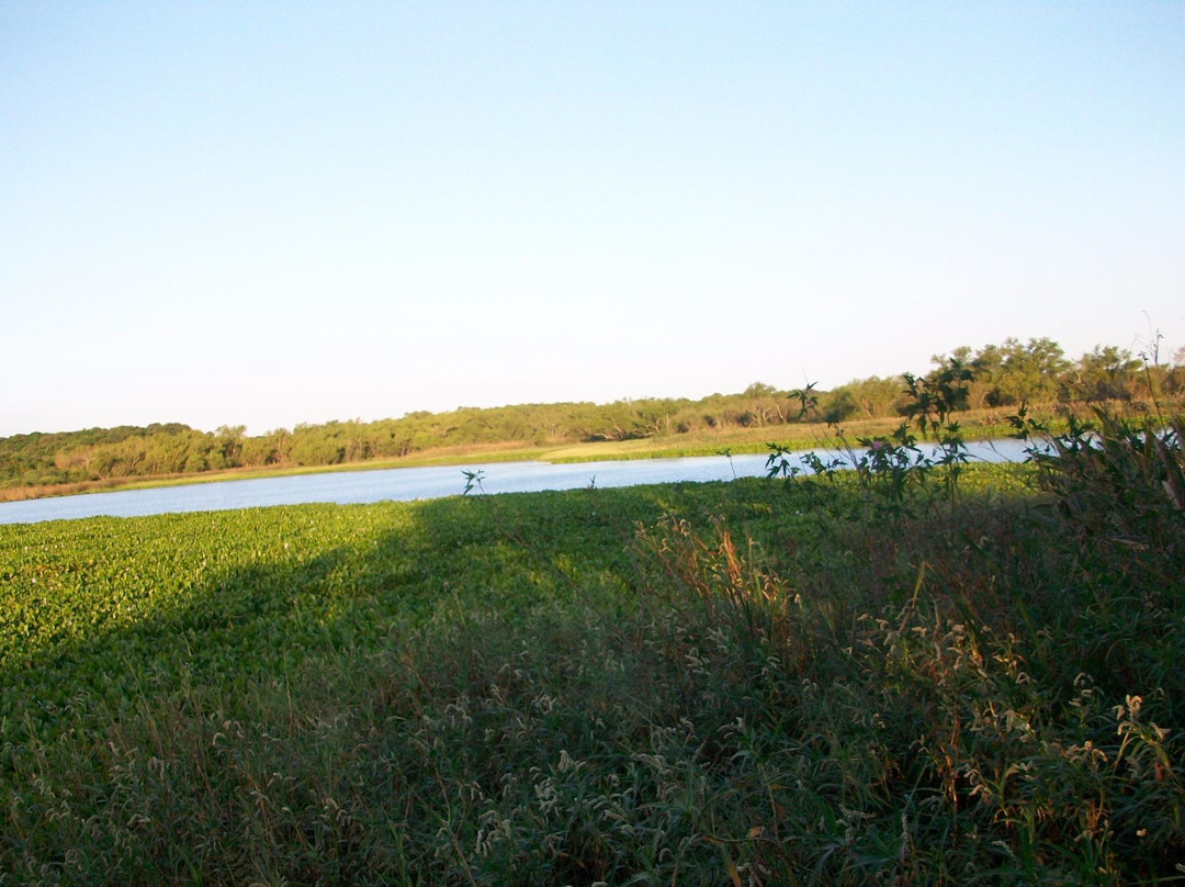 Parque Nacional Pre-Delta景点图片