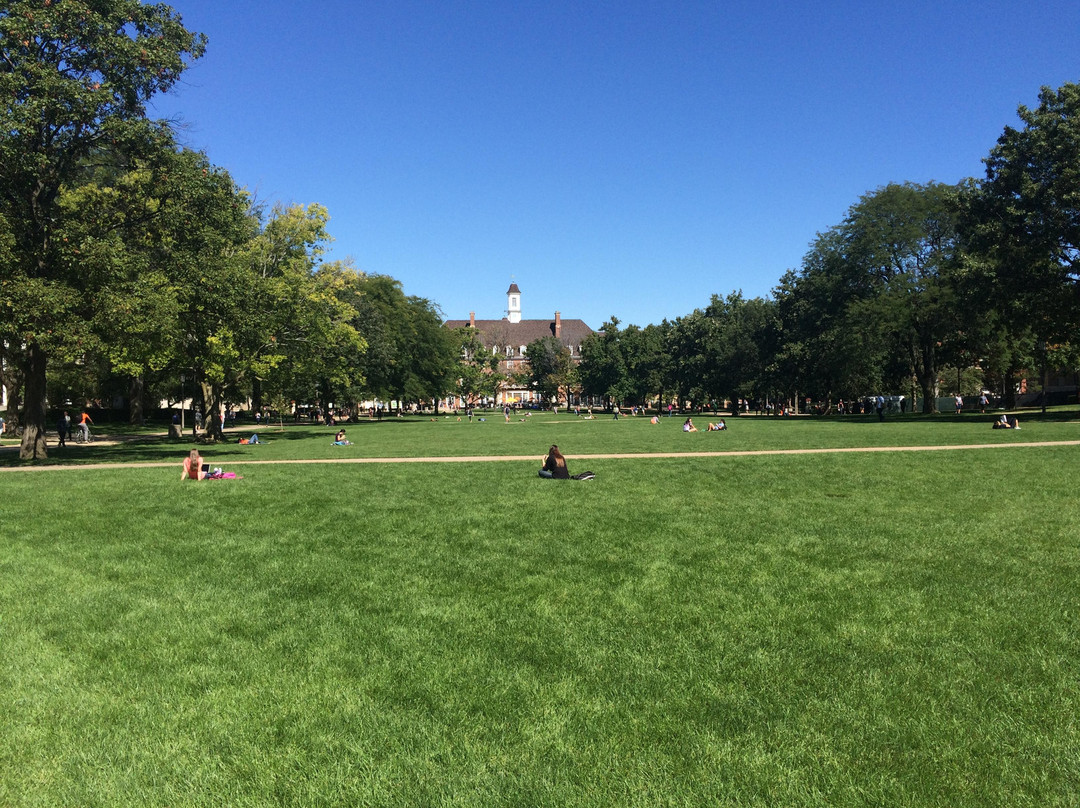 University of Illinois Main Quad-厄巴纳必去景点