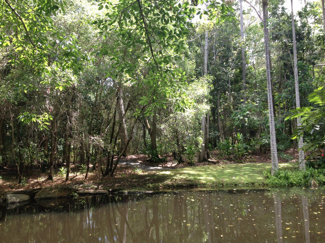 Tondoon Botanic Gardens-Gladstone必去景点