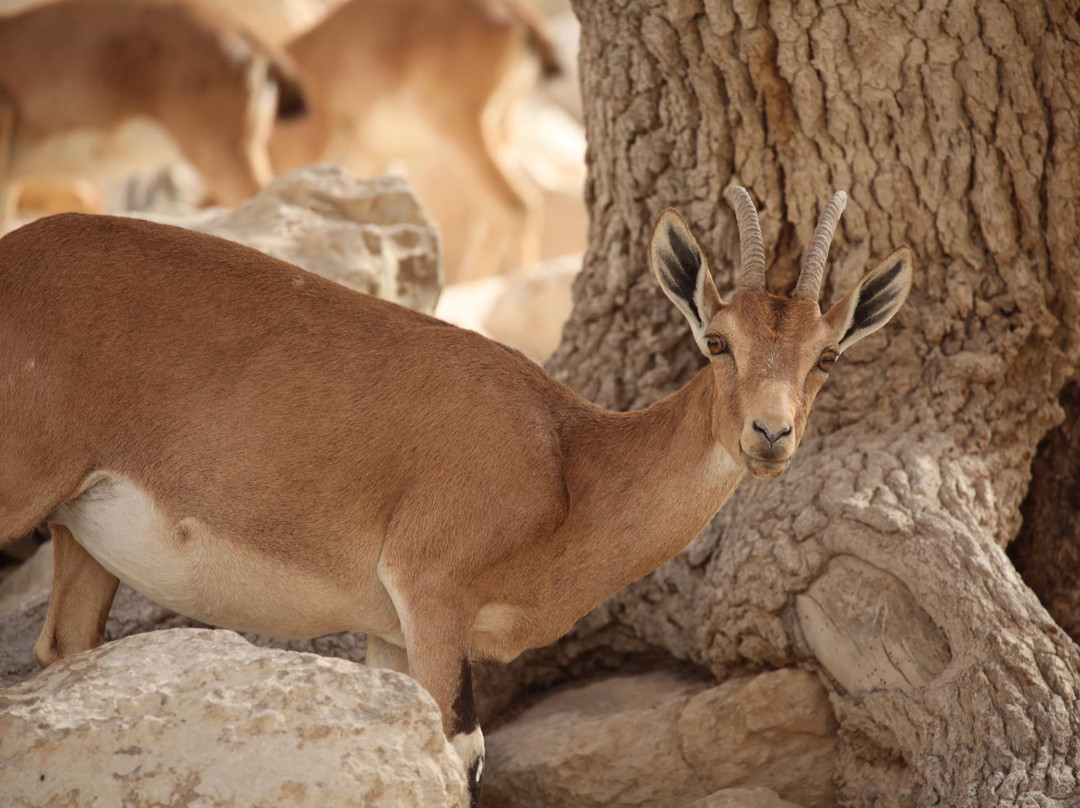 Zin River-贝尔谢巴必去景点