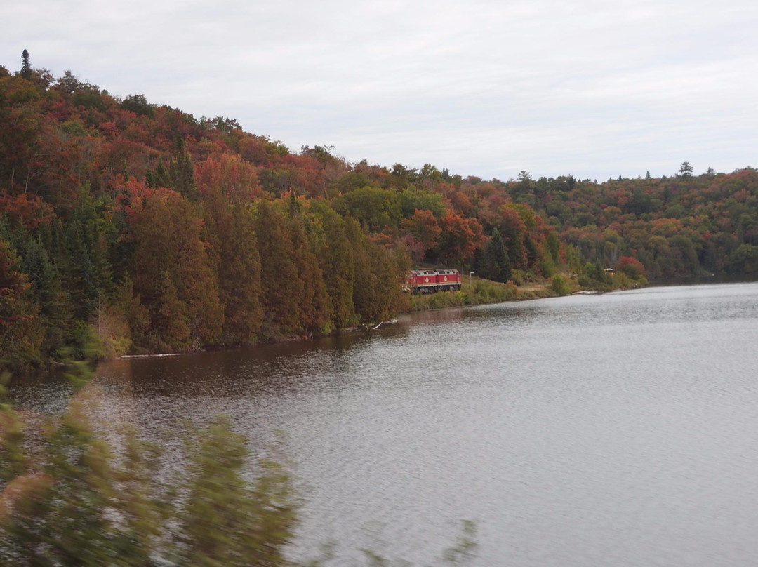 Algoma Central Railway-苏圣玛丽必去景点