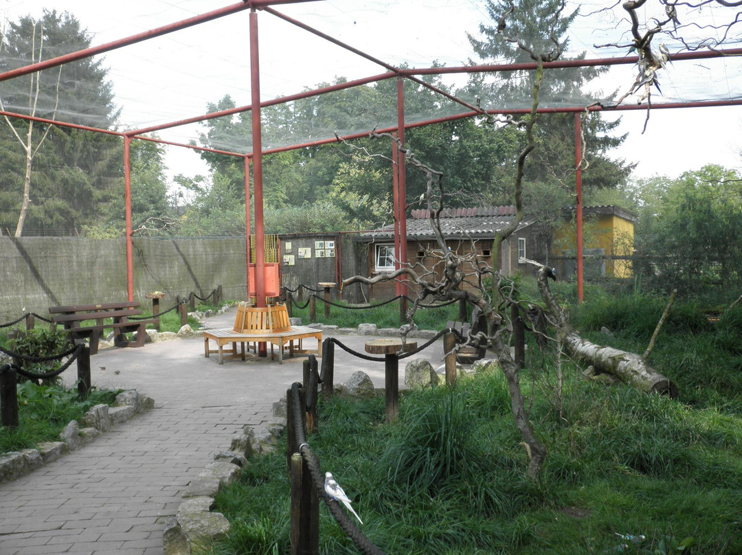 Tierpark Bad Pyrmont景点图片