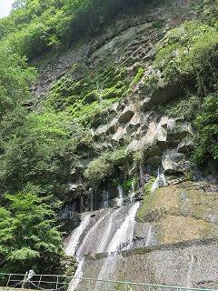 Tamatare Falls景点图片