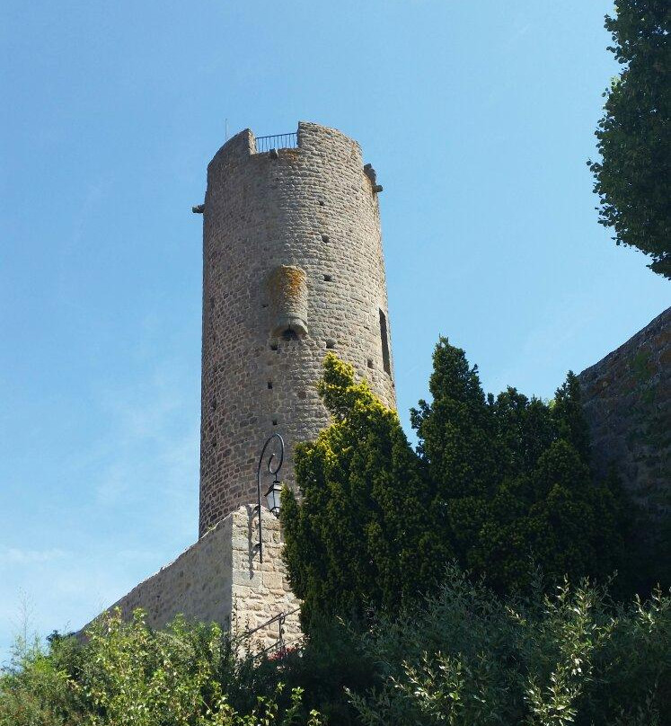 La tour de Chambles景点图片