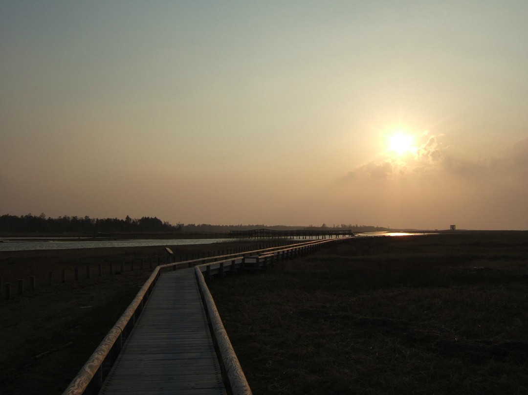 根室市春国岱原生野岛公园-根室市必去景点