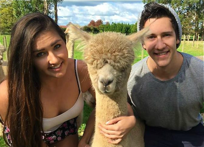 Cornerstone Alpaca Farm-戈登顿必去景点