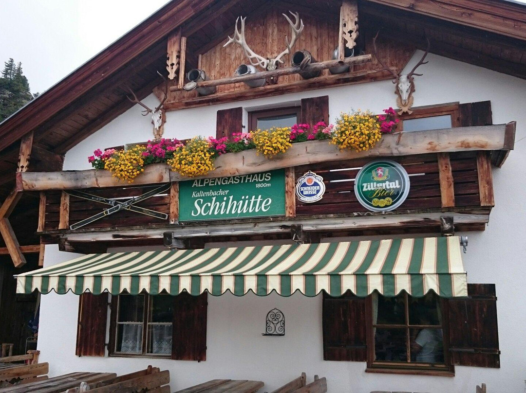 Murmelland Zillertal景点图片