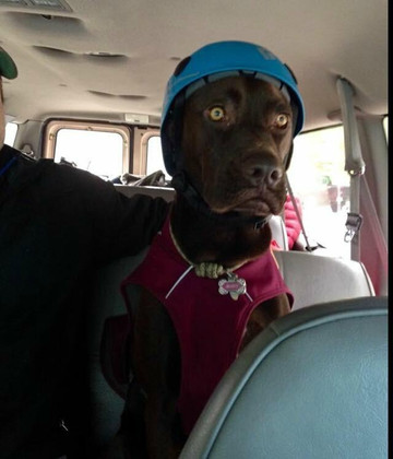 Rock-About Climbing Adventures-奥斯丁必去景点